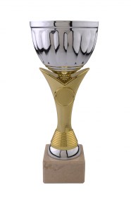 Cupe Sportive CE 06